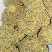 Donkey Butter(BC Exotic)