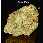 Astro Pink - very high THC - 30% AAAAA++