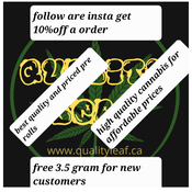 #1 QUALITY LEAF... TOP QUALITY  Ask for wholesale.( bc quad &crafts )(text or call 416 557 1716)