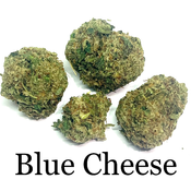 - 🔥🔥 BLUE CHEESE 🔥🔥 AAA+ INDICA DOMINATE  -  DEAL 2oz for $170 -