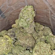 AAA Cinderella's Dream