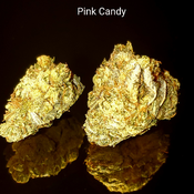 Pink Candy 5A