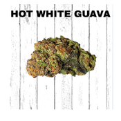 Hot White Guava