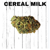 Cereal Milk
