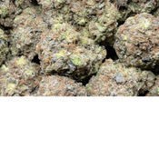 FOUR PROPHETS. AAAA 2 oz 200