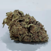 !** Silver Haze ** NOW $60 an OUNCE(save $20)  PLUS FREE DELIVERY !!