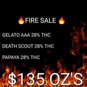 AAAA 🔥🔥🔥 FIRE SALE $200 OZ'S REDUCED TO $135 . 3 STRAINS GELATO , DEATH SCOUT,PAPAYA. AAA+