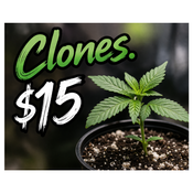 Canna-corp-canada.com 