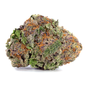 Cannabis Cup Winner - SUPER QUAD Purple Sunset Sherbet