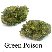 GREEN POISON AAA+ INDICA DOMINATE ** DEAL 2oz for $90 - 4oz for $150)