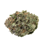 1964 - Organic Comatose - Indica - 3.5g  [
