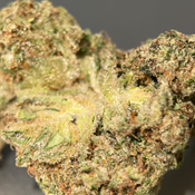 SUPER PINK  QUAD KING   thumbnail 2