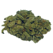 Hot Rod OG AAA Premium Cannabis ON SALE