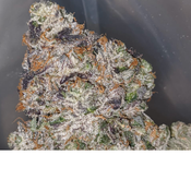 Daily special Pink Star AAA 23.54%thc (Doesn’t count towards getting FREE ounce)