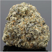 ** LAUGHING BUDDHA - (Craft) 33% THC | Sale: 1oz $180 + 7g (House Special)