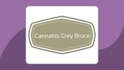 Cannabis Grey Bruce - Southampton 