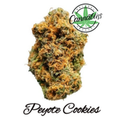 Peyote Cookies | AAA++ | THC Level 24-26%| Indica