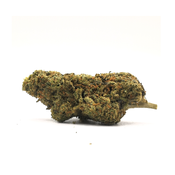 Girl Scout Cookies
