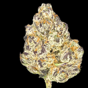 (QUADS)Gary Payton Pink⚡ $185/1oz Hand_Crafted_Weed✅11 Weeks
