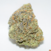 Double Dream Sativa Dominant Hybrid AAAA
