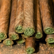 Truffleatti Cannabis Cigar