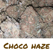 55$ Choco haze AAA