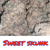 55$ oz Sweet Skunk AAA+ 🔥