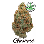 Gushers | AAAA- | THC Level 25-27%| Indica