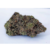 Blue Knight ♞ ; Buy 1ounce receive 7g FREE