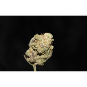 Dirty Mac thumbnail 3