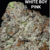 $ 8⭐ White Boy Pink (Super Potent Indica Hybrid) AAAAA Craft strain ($160 per ounce) reg $320