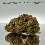 BLACK MAMBA | AAA- / BUY 2 GET 1 = $150 ($50 OZ)