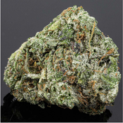 ** ASTRO XO - (Craft) 36% THC | Sale: 1oz $190 + 7g (House Special)
