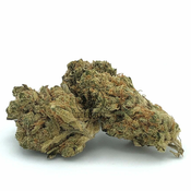 Indica   SUB ZERO