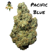 *NEW* Pacific Blue | AAA+ | 27% THC | BOGO $170