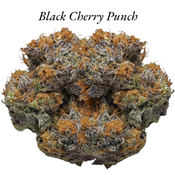  Black Cherry Punch (AAAA) 30% THC - 50% OFF = $140 OZ