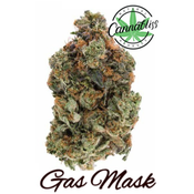 Gas Mask | AAA++ | THC Level 24-26%| Indica