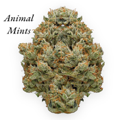 *NEW** Animal Mints (AAA+) 30%THC - 50%OFF = $110 OZ