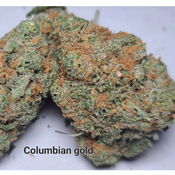 Columbian Gold AAAA