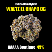 "AAAAA" Waltz El Chapo Og 5★ Boutique HIGH END