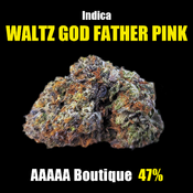 "AAAAA" Waltz Godfather Pink 5★ Boutique HIGH END