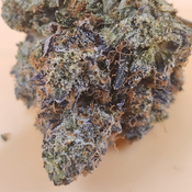 (5 STARS) Pink Tuna 💯🔥💣⛽️ 2 Oz for 250