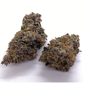 (5 STAR) ATOMIC PINK