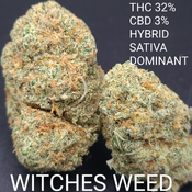 ! A NEW SPECIAL *****ðŸ”´WITCHES WEED