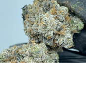 Platinum Death | 14g Premium Dried Flower