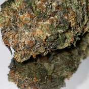 Greasy Pink🔼 27%THC 🔼 🚀🚀🚀🚀🚀