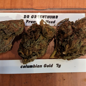 Columbian Gold AAA energizing sativa only $100 for 2 ounces