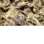 OG Glue - Sickspensary AAAA
