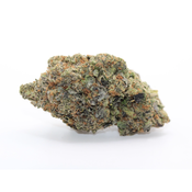 Black Rockstar - Premium AAAA+ 