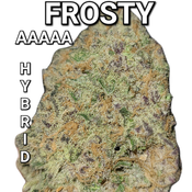 $ CRAZY DEAL  7â­� JACK FROSTY (FROSTIEST STRAIN ON MENU) (AAAA) TASTY AND STRONG($125 OUNCE)REG $300